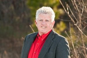 Bob Stanley Knows the Heart of Trees